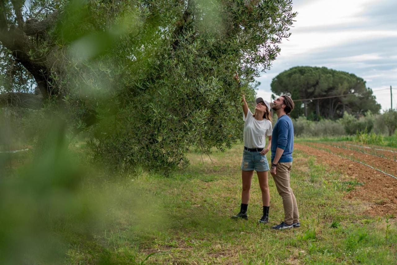 Agriturismo La Banchella スカルリーノ エクステリア 写真